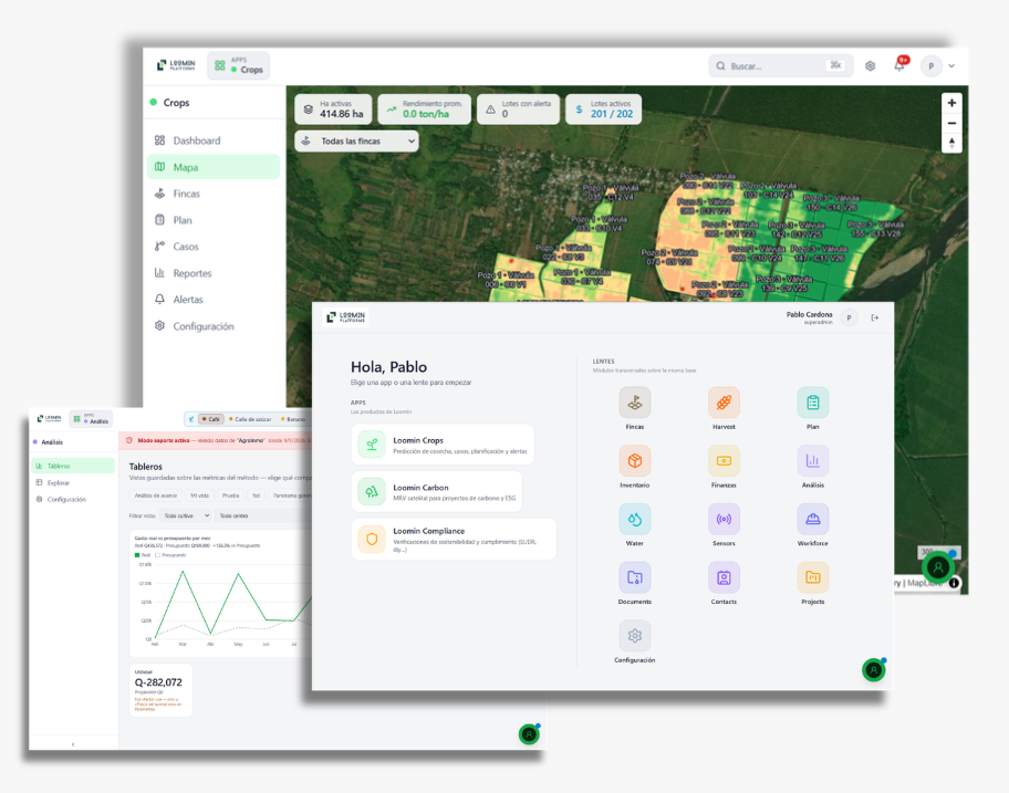 Loomin: mapa de lotes con NDVI, inicio con apps y lentes, y tableros de análisis