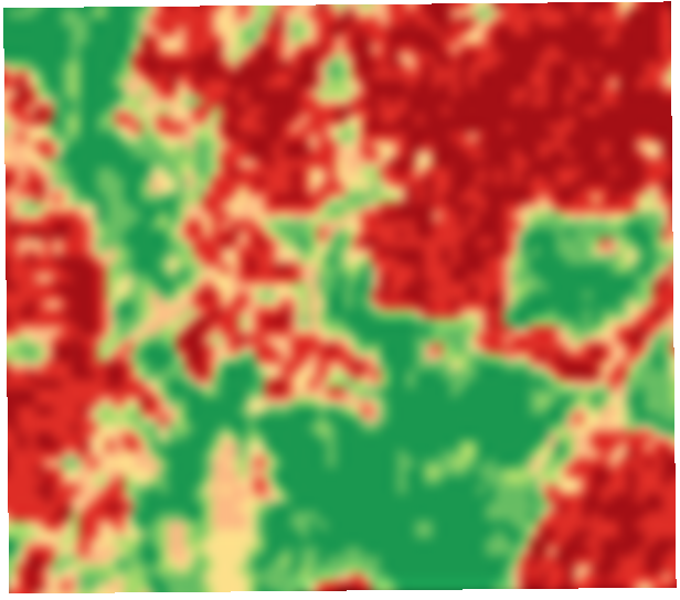 Ráster satelital NDVI